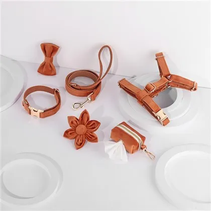 Karamellfarbenes Hundehalsband-Set