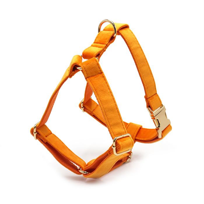 Velvet Dog Harness